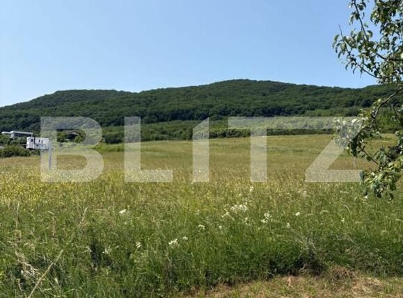Teren de vânzare Viișoara - 174242TV | BLITZ Bistriţa | Poza3