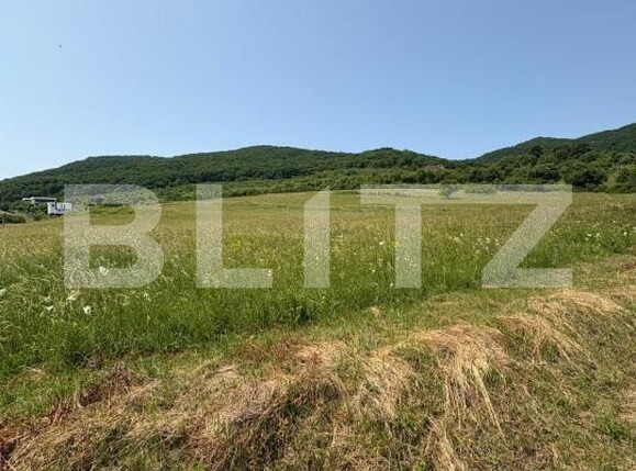 Teren de vânzare Viișoara - 174242TV | BLITZ Bistriţa | Poza4