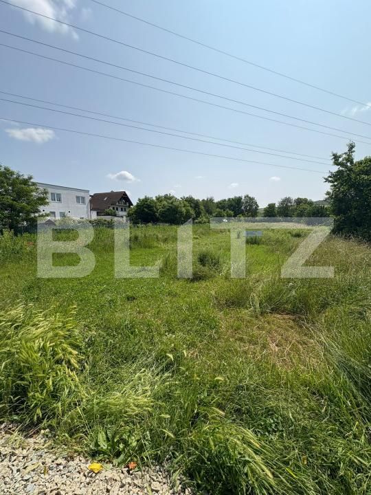 Teren de vânzare Viișoara - 174242TV | BLITZ Bistriţa | Poza2