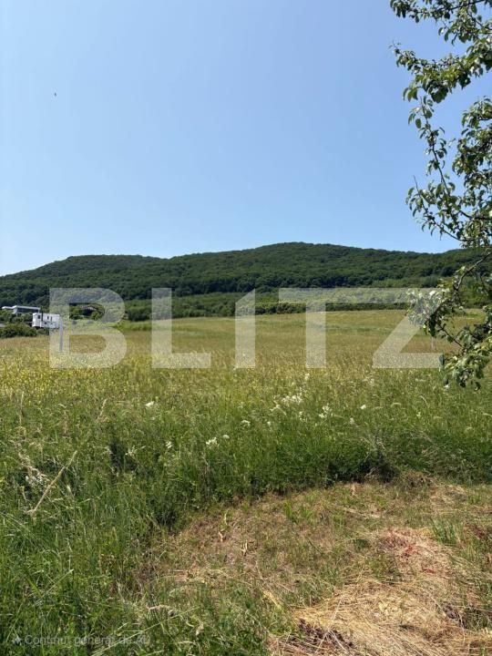 Teren de vânzare Viișoara - 174242TV | BLITZ Bistriţa | Poza3