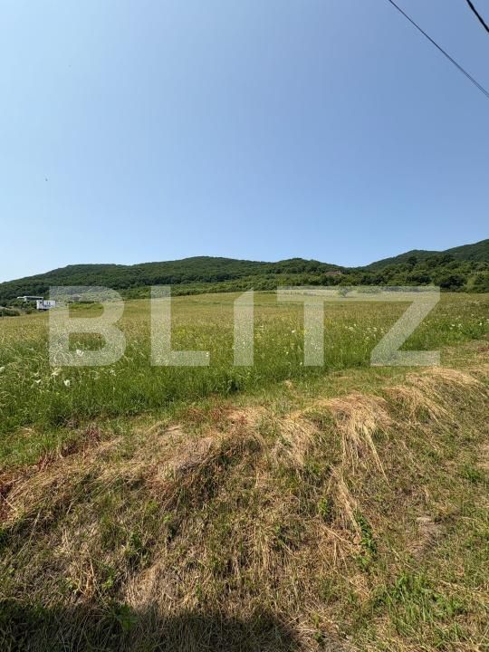 Teren de vânzare Viișoara - 174242TV | BLITZ Bistriţa | Poza4