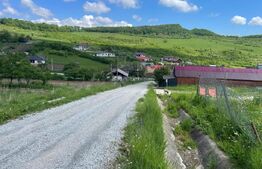 Teren de vanzare 1917 mp, zona Valea Jelnei