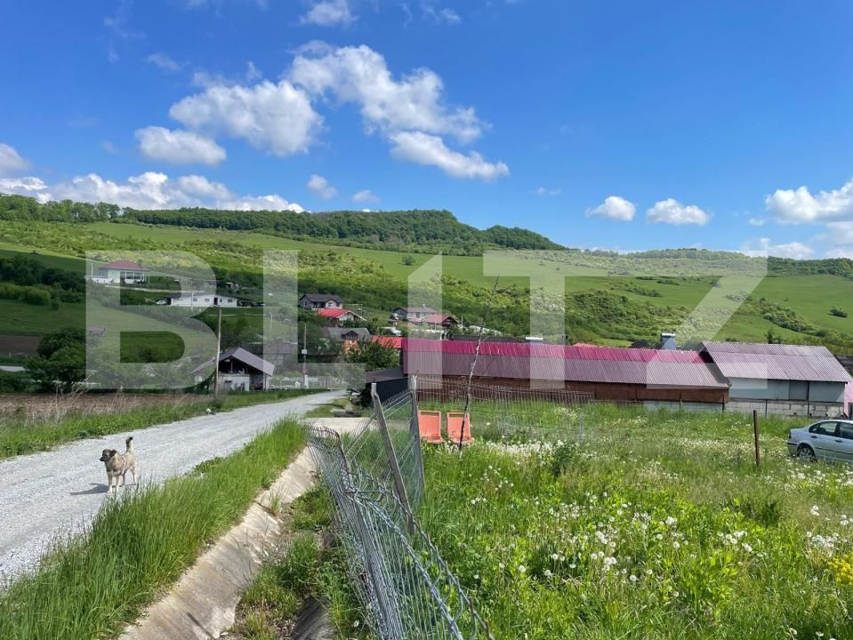 Teren de vânzare Est - 174285TV | BLITZ Bistriţa | Poza4