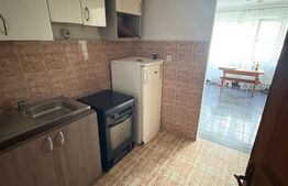 Camera de camin de vanzare, 20 mp, pe strada Dragoș Vodă