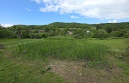 Casa la tara  de vanzare, cu 13 ari de teren, la 40 km de Bistrița