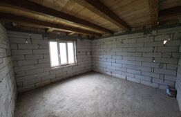 Casa la tara  de vanzare, cu 13 ari de teren, la 40 km de Bistrița