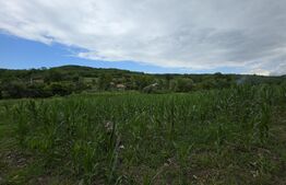 Casa la tara  de vanzare, cu 13 ari de teren, la 40 km de Bistrița