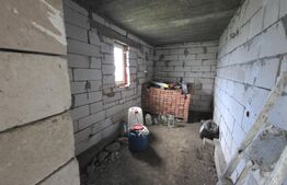 Casa la tara  de vanzare, cu 13 ari de teren, la 40 km de Bistrița