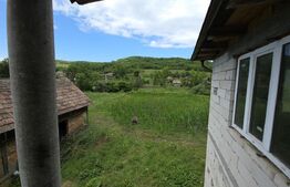 Casa la tara  de vanzare, cu 13 ari de teren, la 40 km de Bistrița