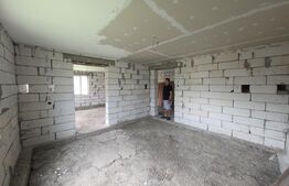 Casa la tara  de vanzare, cu 13 ari de teren, la 40 km de Bistrița