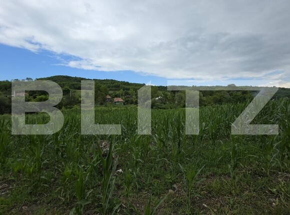 Casa de vânzare 3 camere Periferie - 174395CV | BLITZ Bistriţa | Poza10