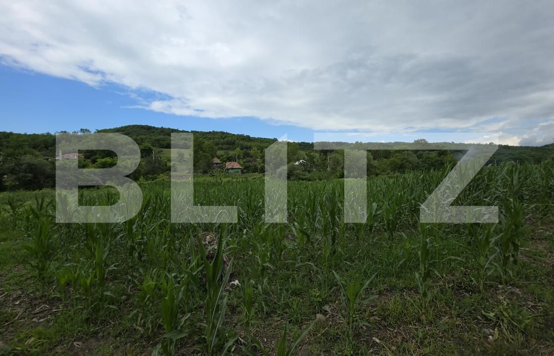 Casa de vânzare 3 camere Periferie - 174395CV | BLITZ Bistriţa | Poza10