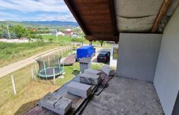 Casa de vanzare, 240 mp, zona jelna, teren 10 ari