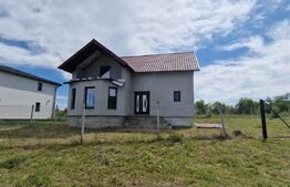 Casa de vanzare, 240 mp, zona jelna, teren 10 ari