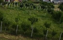 Teren intravilan – 730 mp – Zonă panoramică Aleea Trifoiului