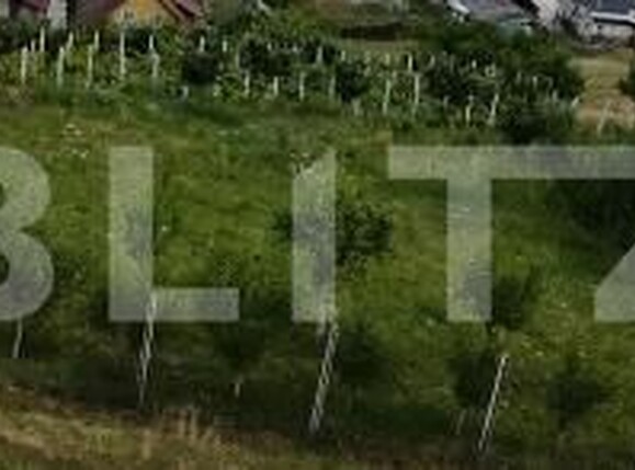 Teren de vânzare Centura - 174497TV | BLITZ Bistriţa | Poza1