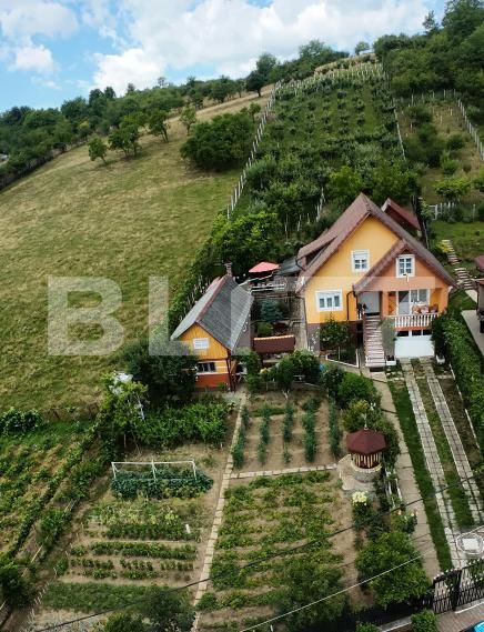 Casa de vânzare 3 camere Centura - 174499CV | BLITZ Bistriţa | Poza16