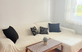 Apartament 2 camere de închiriat în Subcetate – etaj 1, bloc cu lift, 250€/lună
