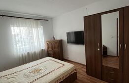 Apartament 2 camere de închiriat în Subcetate – etaj 1, bloc cu lift, 250€/lună