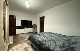 Apartament cu 2 camere, Parter-Decebal