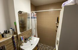 Apartament cu 2 camere, Parter-Decebal