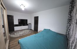 Apartament cu 2 camere, Parter-Decebal