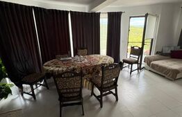 Casă de vânzare 140 mp, 5 ari teren, garaj interior – zona Pensiunea Morariu