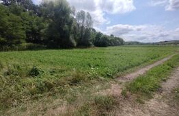 Teren extravilan,850 mp,ideal de cabana,zona Blajeni de Jos