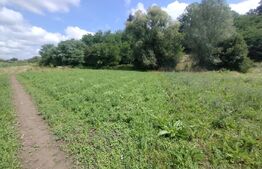 Teren extravilan,850 mp,ideal de cabana,zona Blajeni de Jos