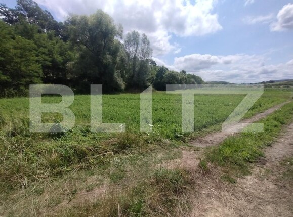 Teren de vânzare Sintereag - 175001TV | BLITZ Bistriţa | Poza1