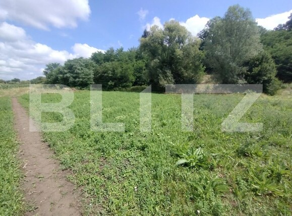 Teren de vânzare Sintereag - 175001TV | BLITZ Bistriţa | Poza2