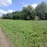 Teren de vânzare Sintereag - 175001TV - Poza 1 din 4 | BLITZ Bistriţa | Poza1