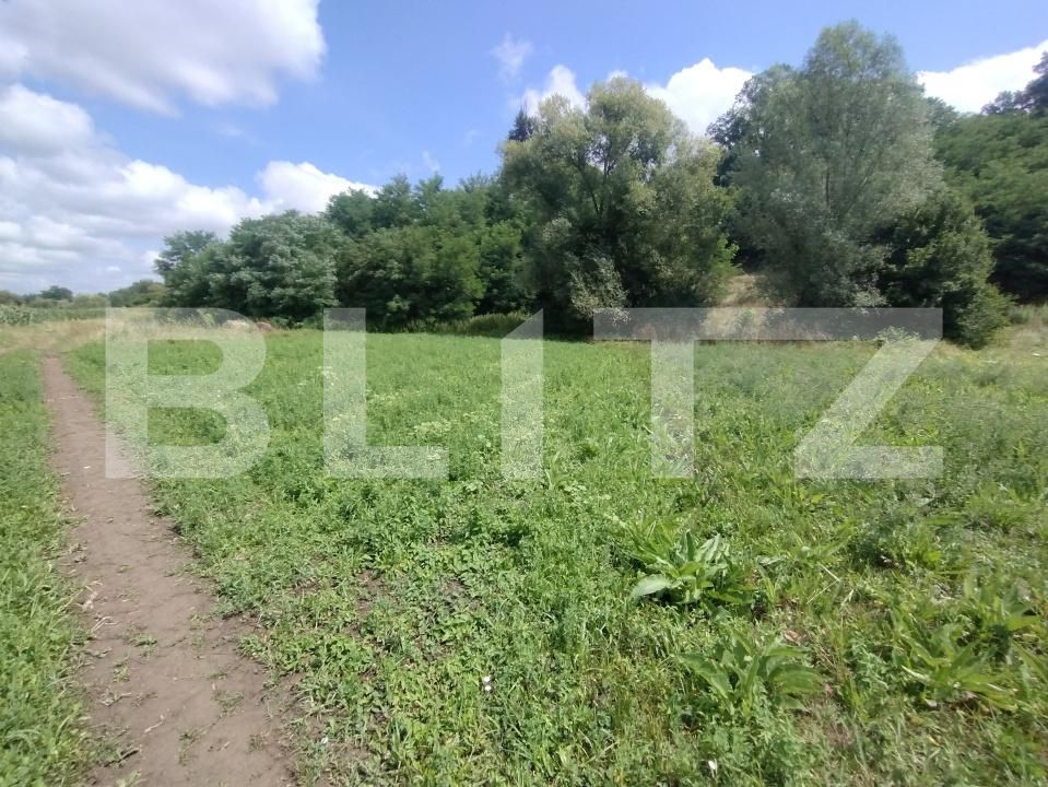 Teren de vânzare Sintereag - 175001TV | BLITZ Bistriţa | Poza2