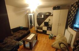 Apartament de inchiriat, 2 camere, 42 mp, parter, zona Bv Decebal