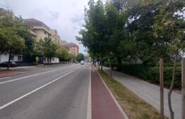 Apartament de inchiriat, 2 camere, 42 mp, parter, zona Bv Decebal