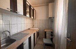 Garsoniera de vanzare, 30 mp, zona Calea Moldovei