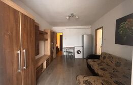 Garsoniera de vanzare, 30 mp, zona Calea Moldovei