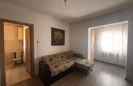 Garsoniera de vanzare, 30 mp, zona Calea Moldovei