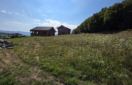 Teren extravilan, cu autorizatie de constructie casa, 875 mp, Bistrita