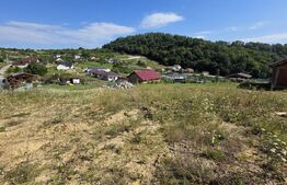 Teren extravilan, cu autorizatie de constructie casa, 875 mp, Bistrita