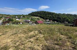 Teren extravilan, cu autorizatie de constructie casa, 875 mp, Bistrita