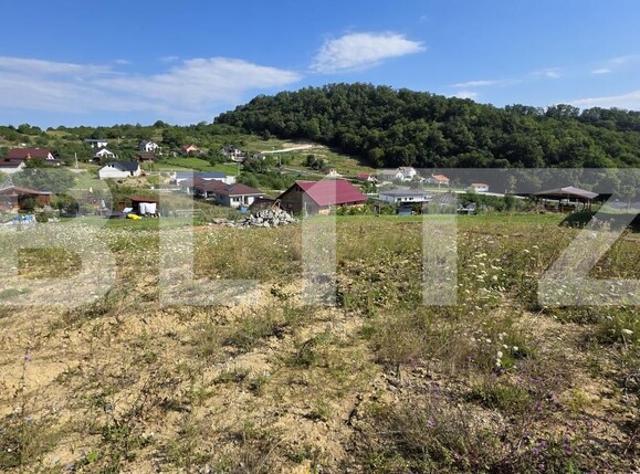 Teren de vânzare Sud-Est - 175102TV | BLITZ Bistriţa | Poza4