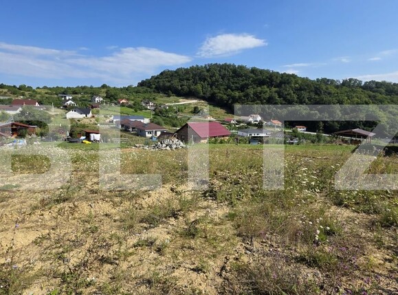 Teren de vânzare Sud-Est - 175102TV | BLITZ Bistriţa | Poza3