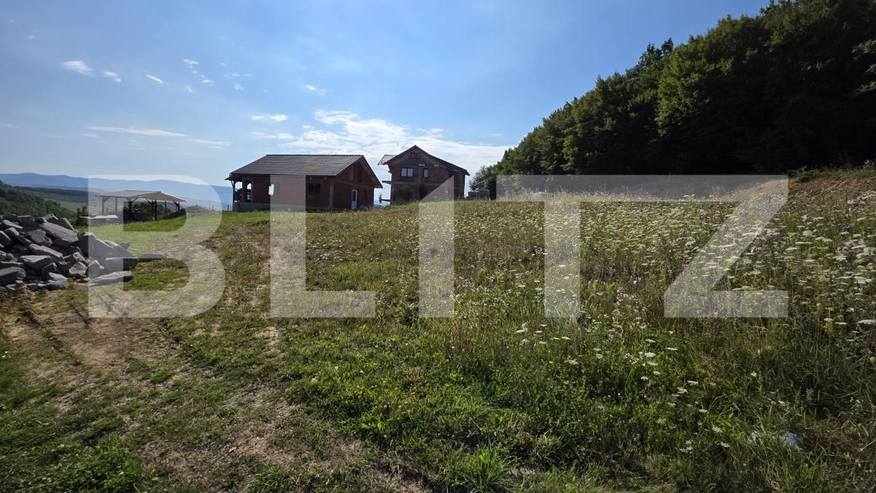 Teren de vânzare Sud-Est - 175102TV | BLITZ Bistriţa | Poza6