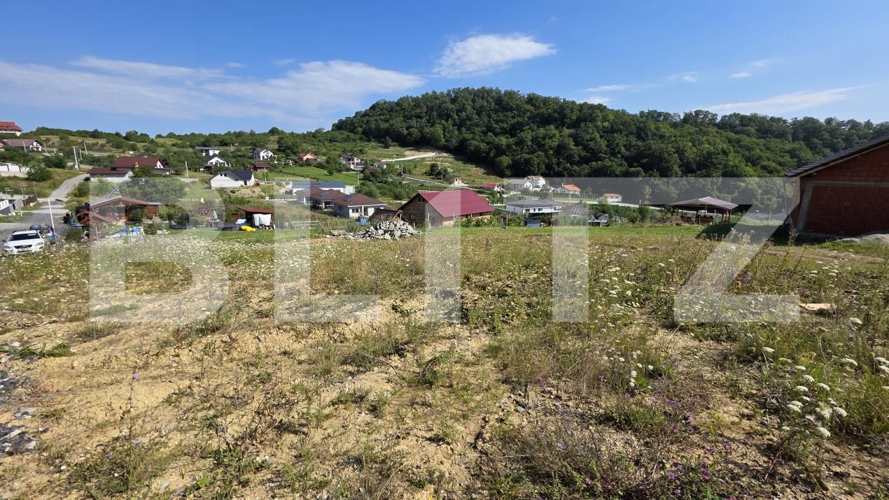 Teren de vânzare Sud-Est - 175102TV | BLITZ Bistriţa | Poza4