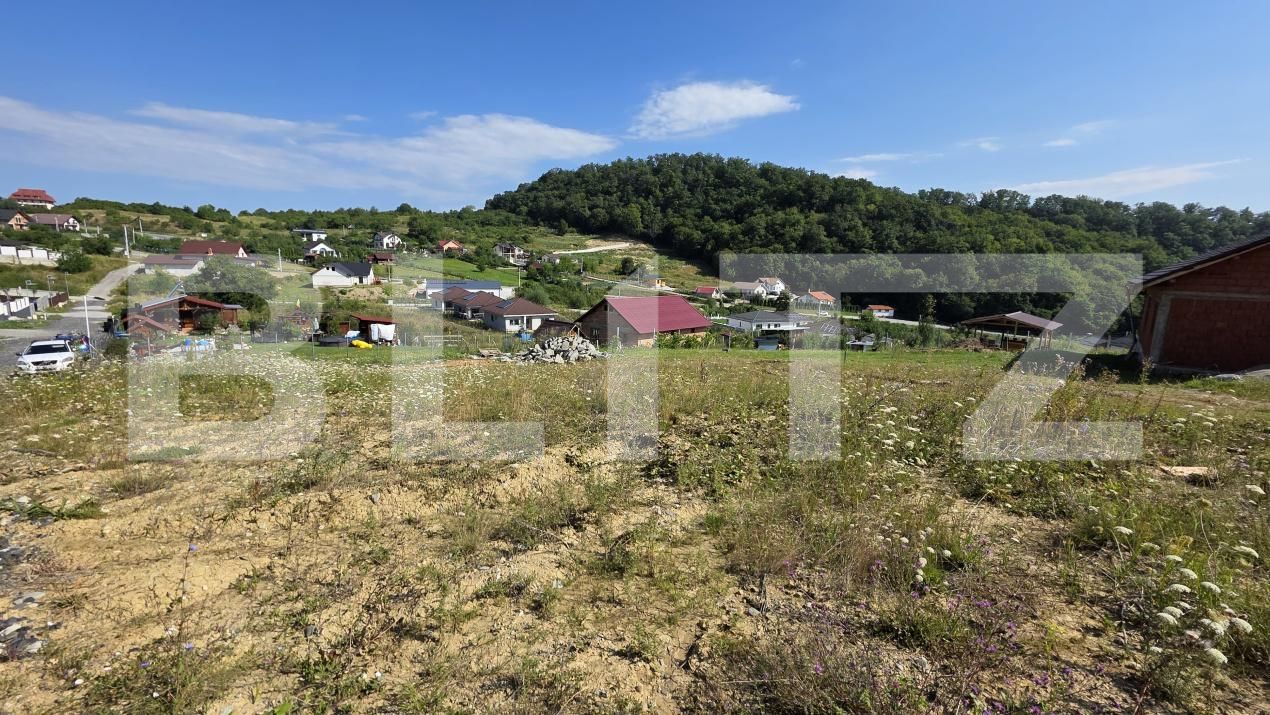 Teren de vânzare Sud-Est - 175102TV | BLITZ Bistriţa | Poza3