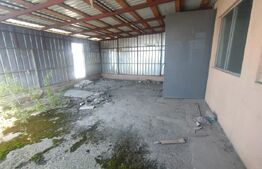 Spatiu comercial, depozit, service, 100 mp, zona Calea Moldovei