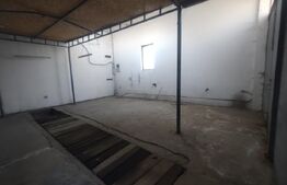 Spatiu comercial, depozit, service, 100 mp, zona Calea Moldovei