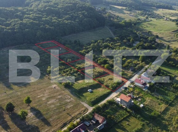 Teren de vânzare Vest - 175246TV | BLITZ Bistriţa | Poza1