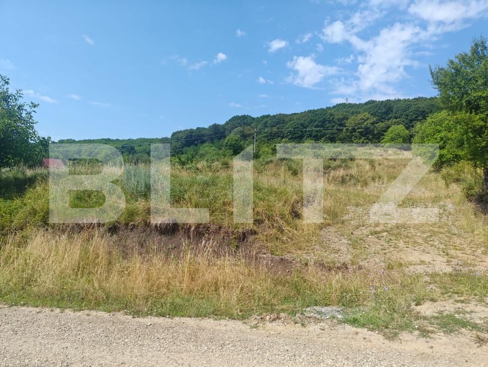 Teren de vânzare Vest - 175246TV | BLITZ Bistriţa | Poza2